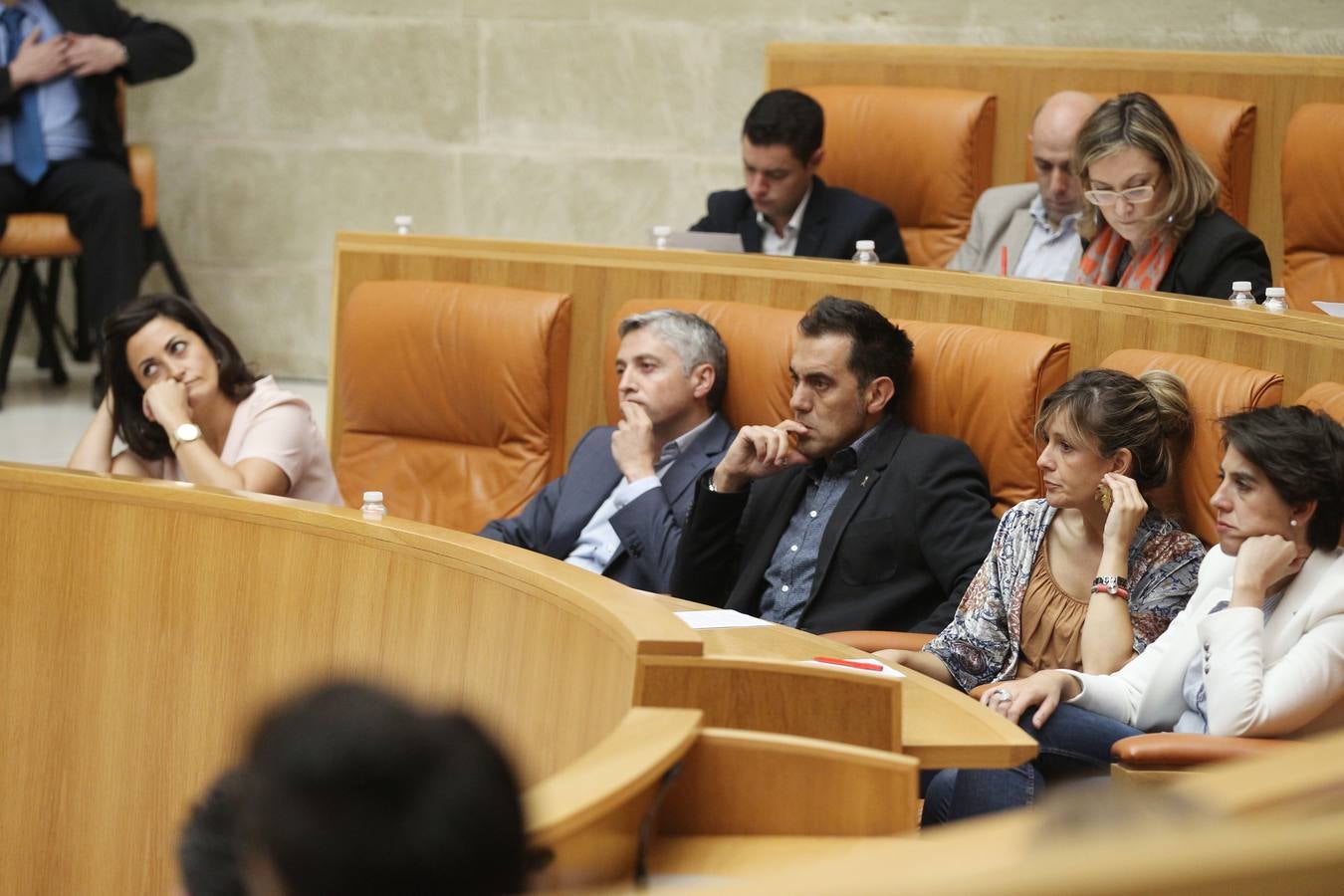 Los gestos en el Pleno del Parlamento riojano