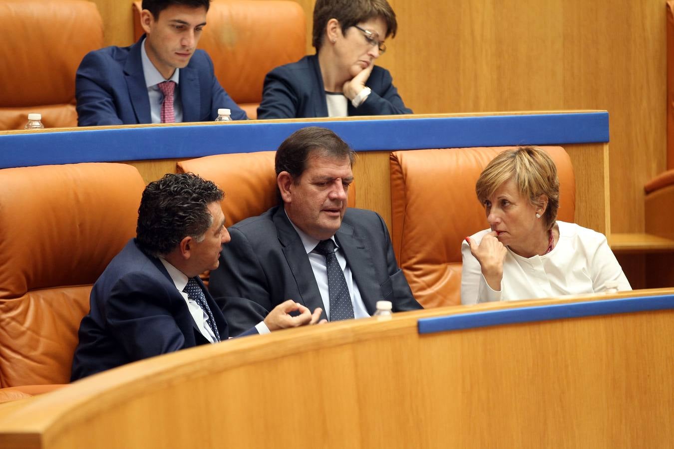 Los gestos en el Pleno del Parlamento riojano