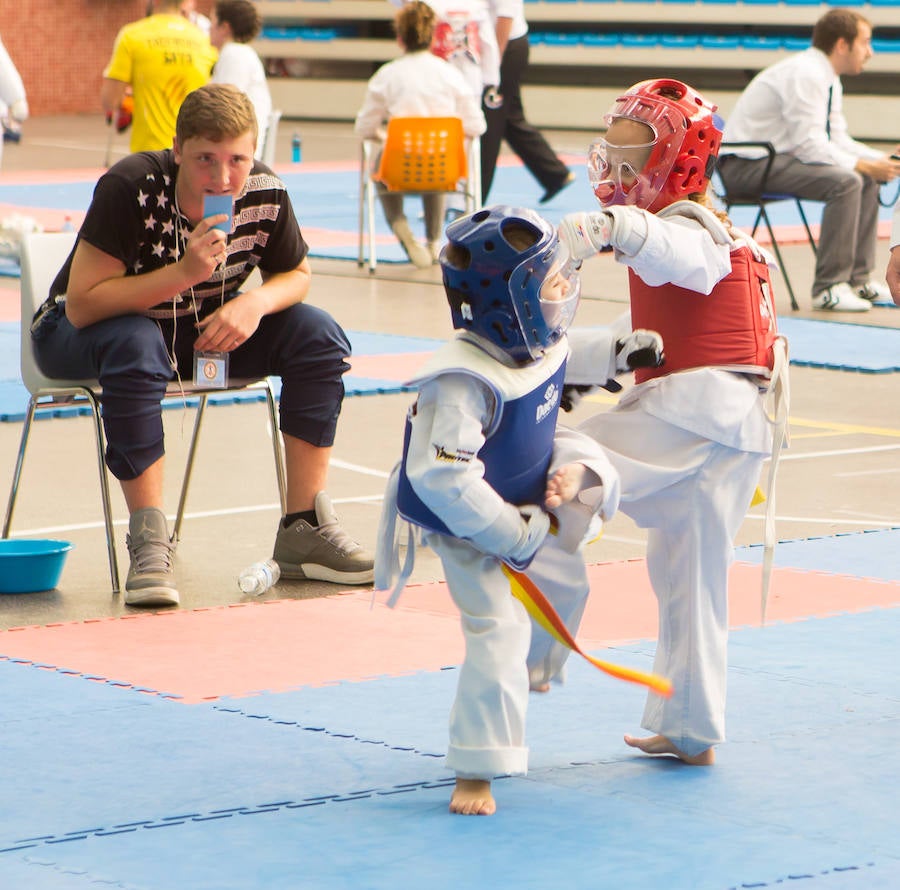 Torneo de la Vendimia de taekwondo