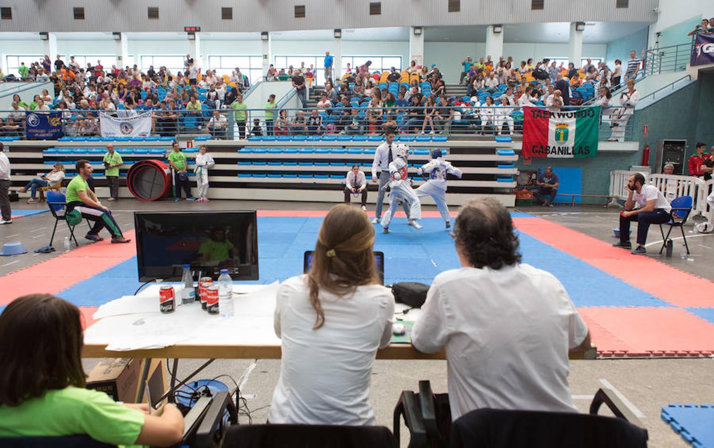 Torneo de la Vendimia de taekwondo