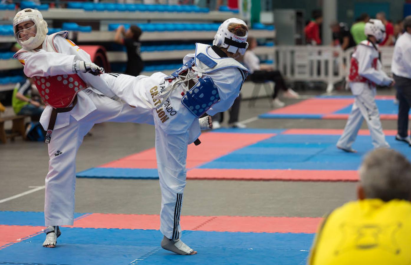 Torneo de la Vendimia de taekwondo