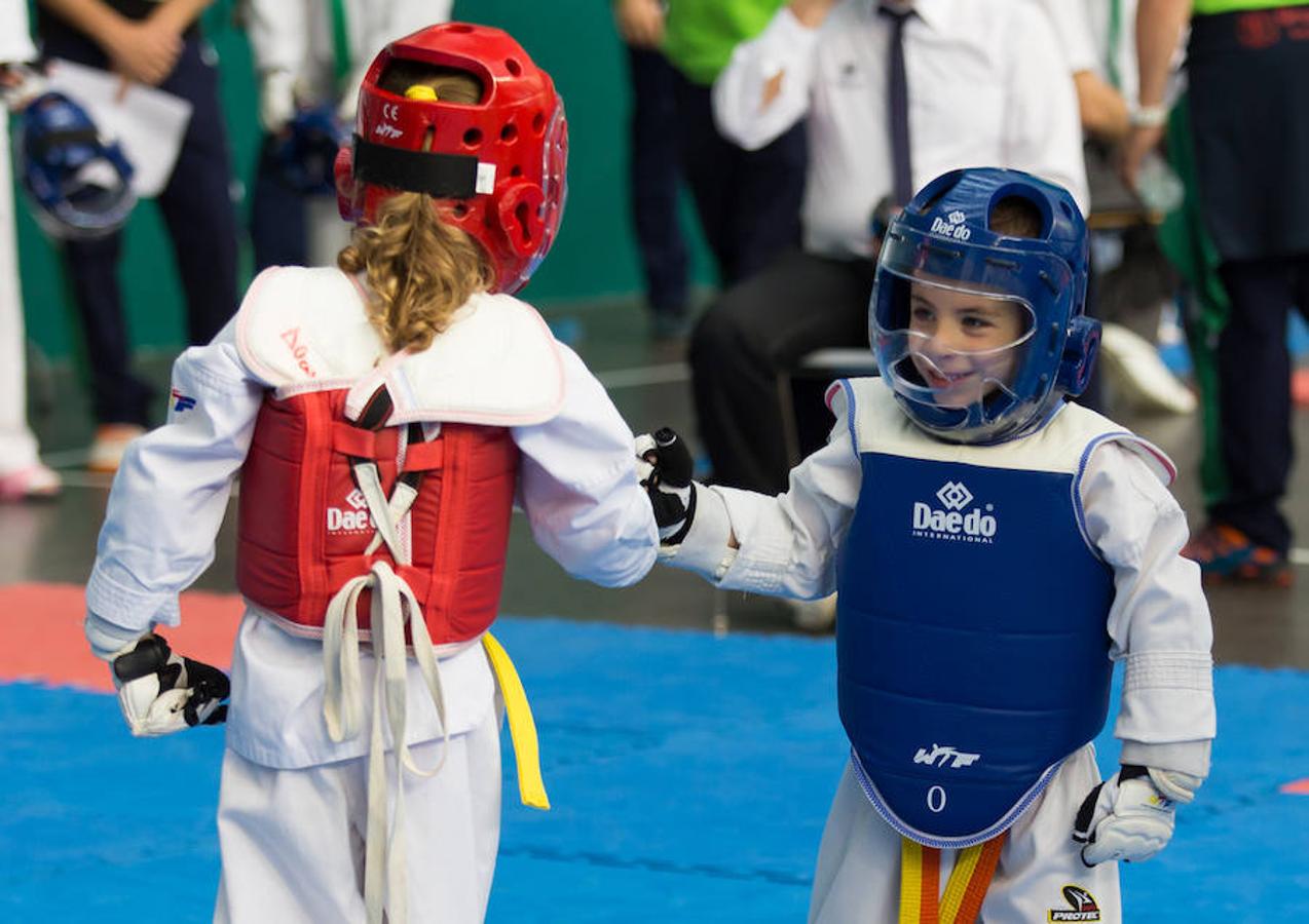 Torneo de la Vendimia de taekwondo