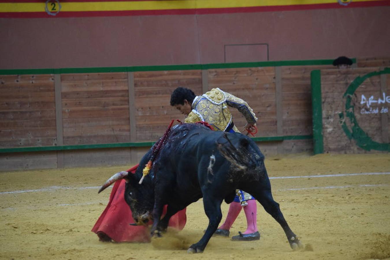 Última novillada de Arnedo