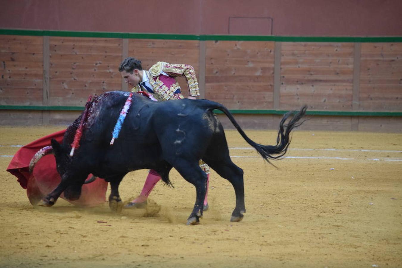 Última novillada de Arnedo