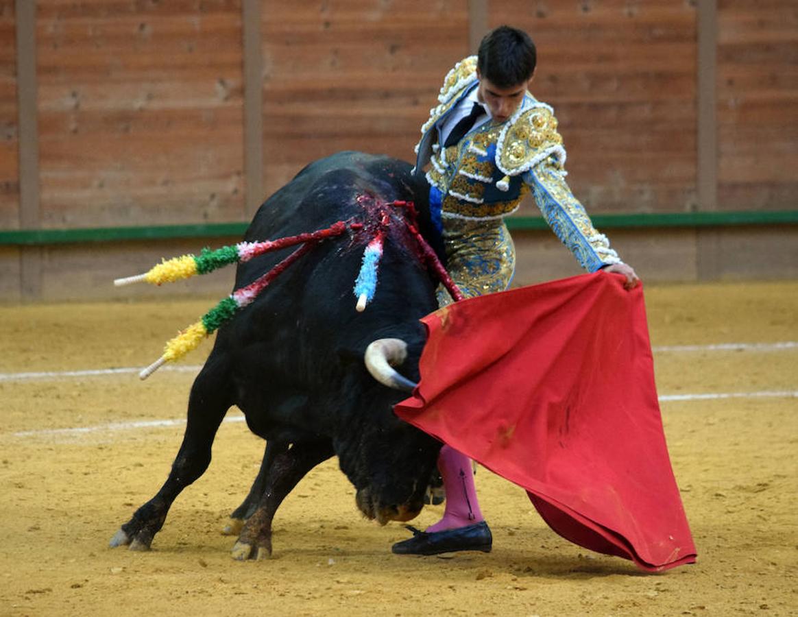 Última novillada de Arnedo