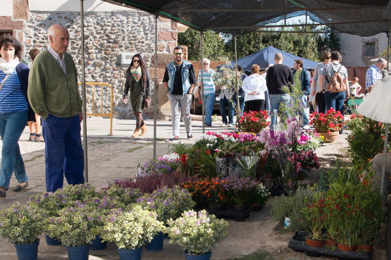 Feria de artesanía y ganadería en Ojacastro