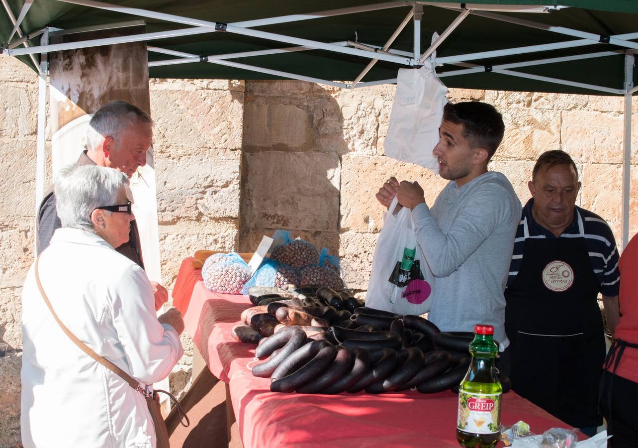 Feria de artesanía y ganadería en Ojacastro