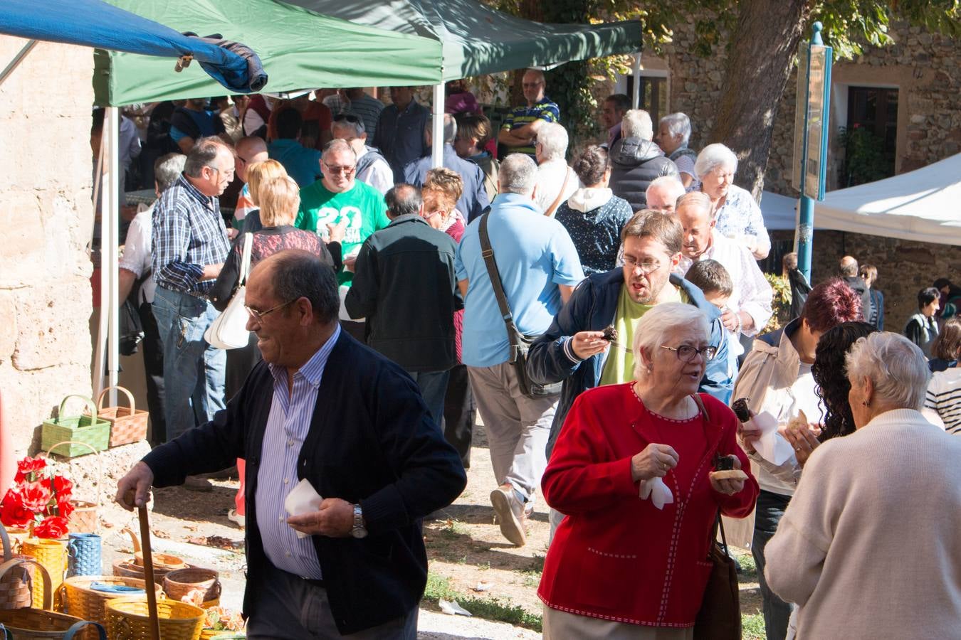 Feria de artesanía y ganadería en Ojacastro