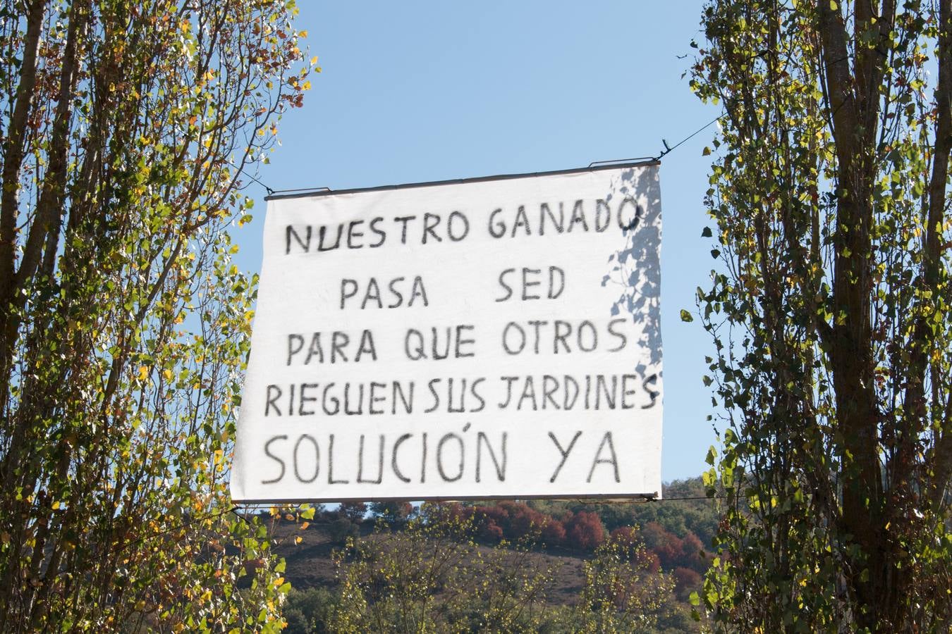 Feria de artesanía y ganadería en Ojacastro