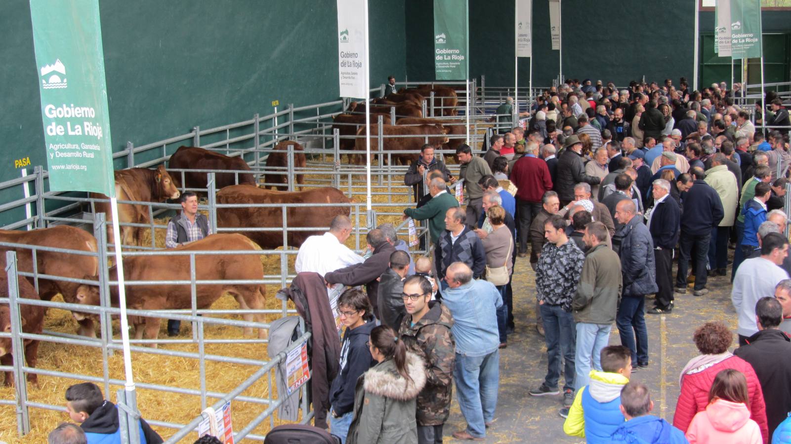 Feria de Ganado Selecto del Camero Nuevo