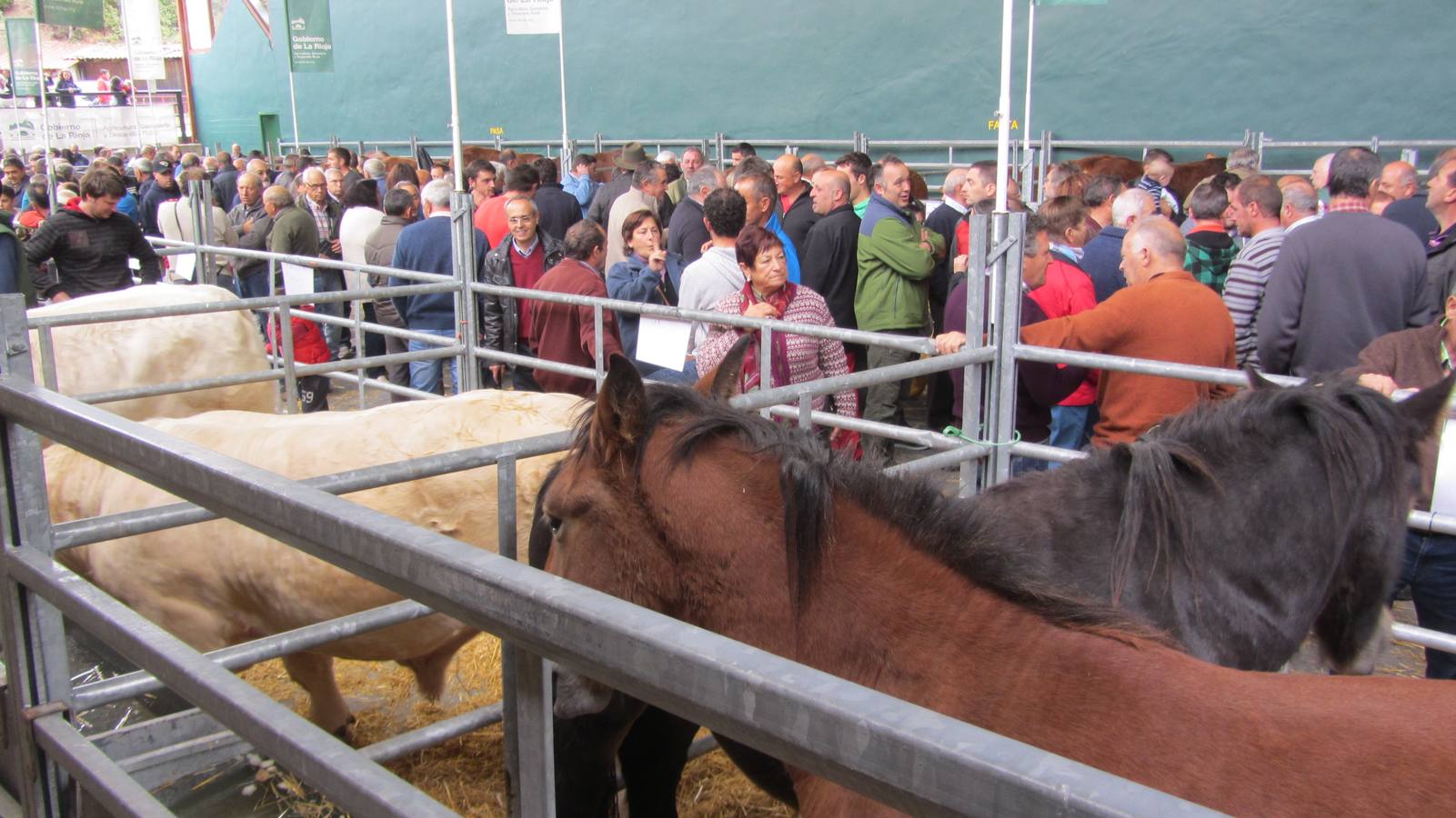 Feria de Ganado Selecto del Camero Nuevo