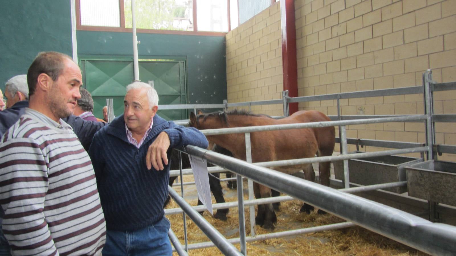 Feria de Ganado Selecto del Camero Nuevo