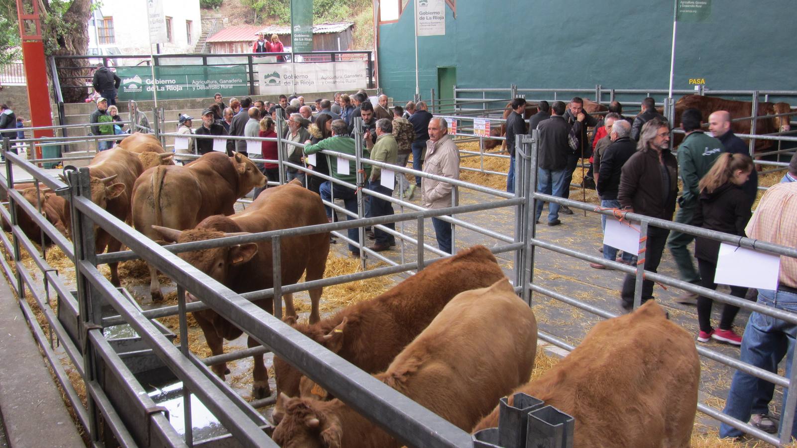 Feria de Ganado Selecto del Camero Nuevo