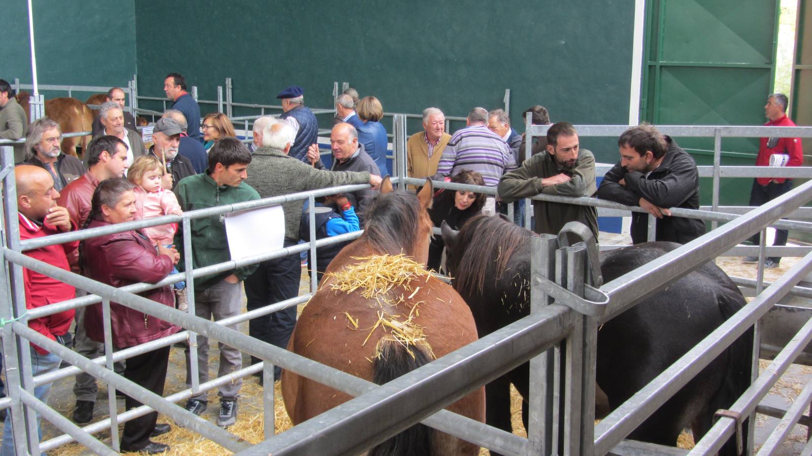 Feria de Ganado Selecto del Camero Nuevo