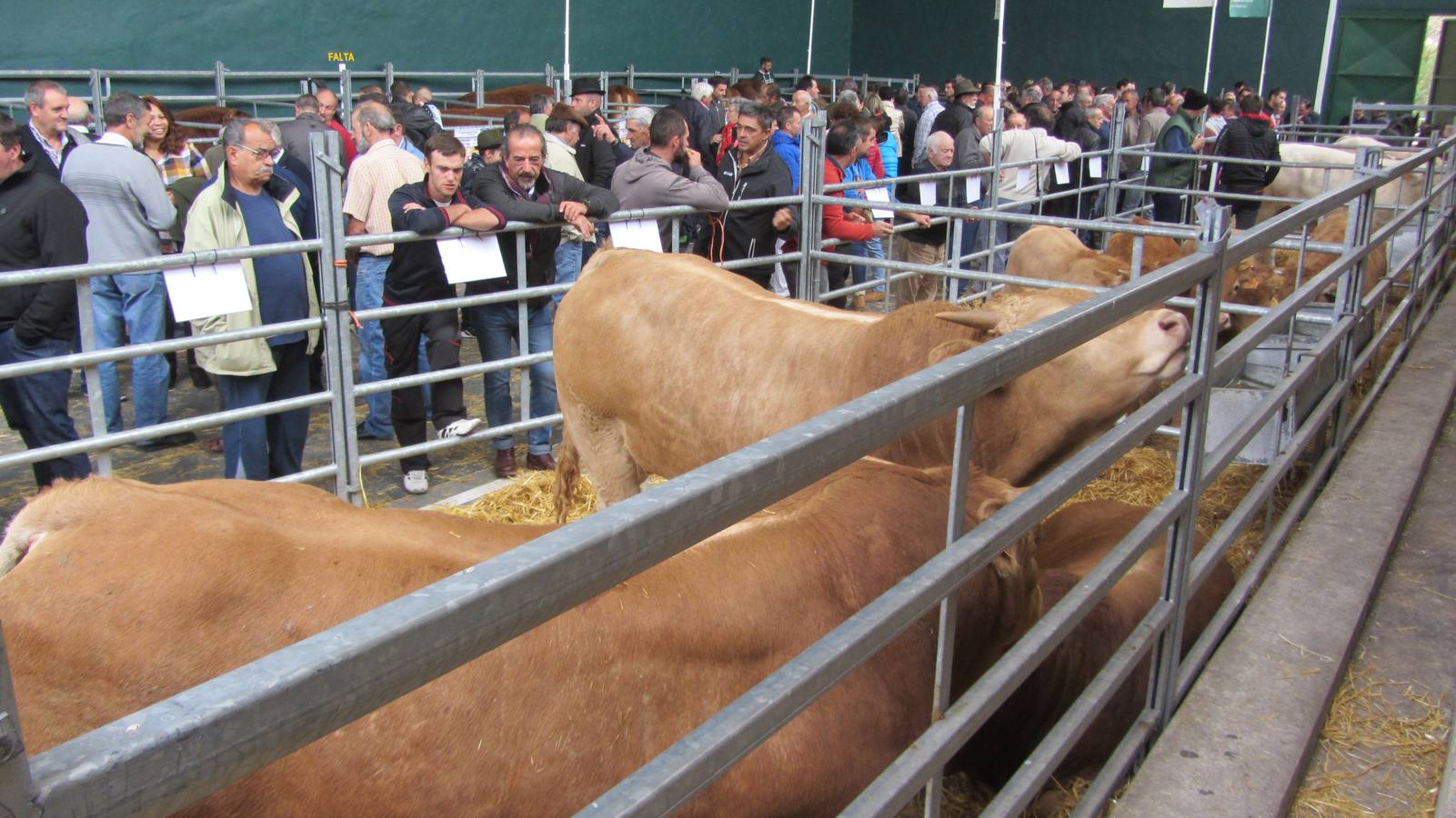 Feria de Ganado Selecto del Camero Nuevo