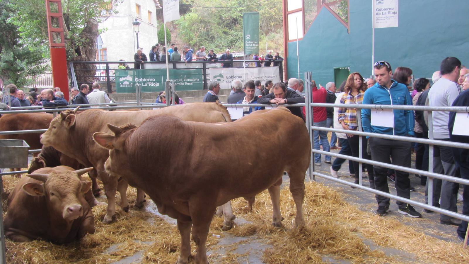 Feria de Ganado Selecto del Camero Nuevo