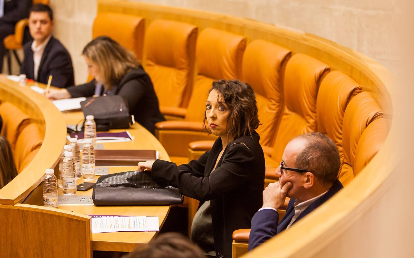 Los gestos del Pleno en el Parlamento riojano