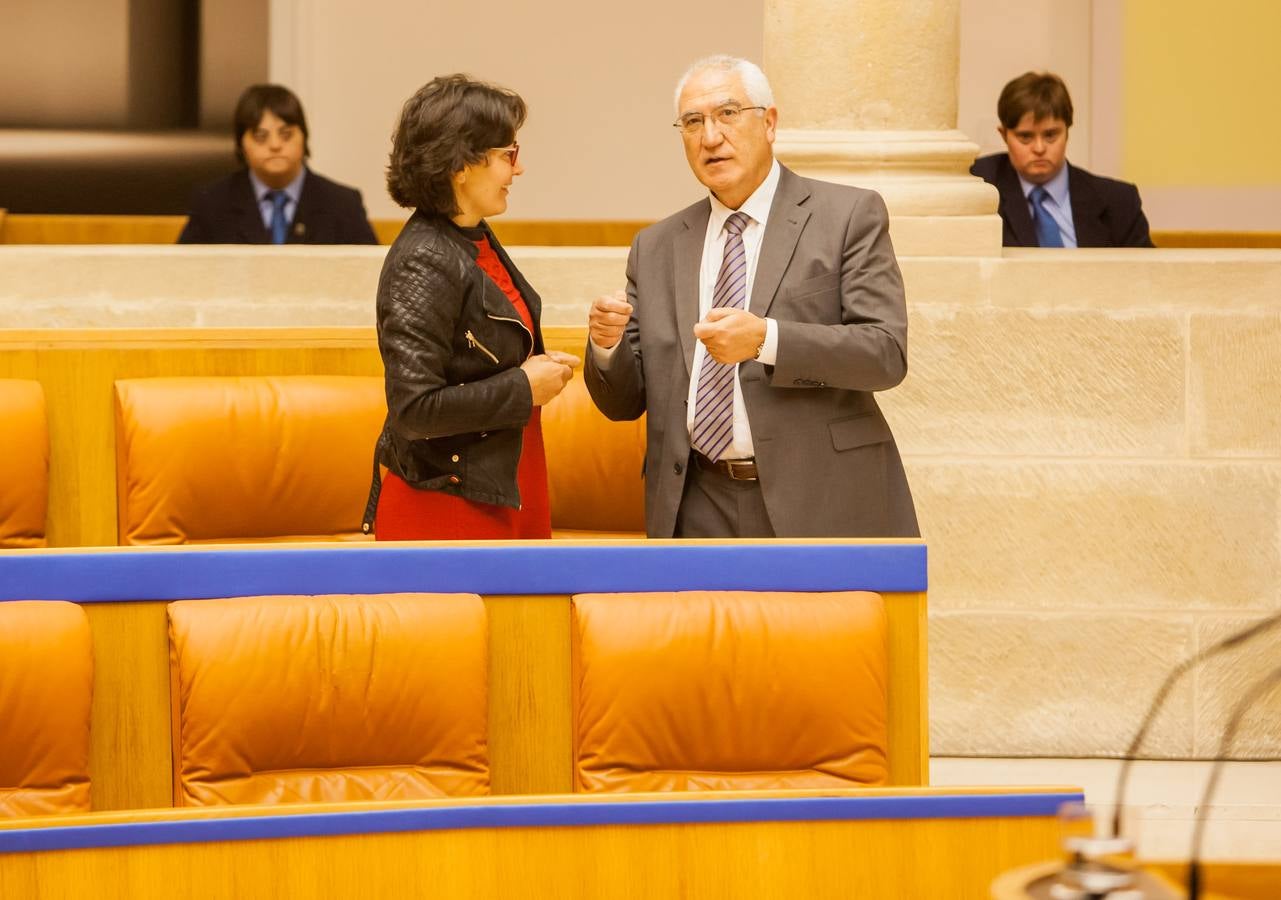 Los gestos del Pleno en el Parlamento riojano