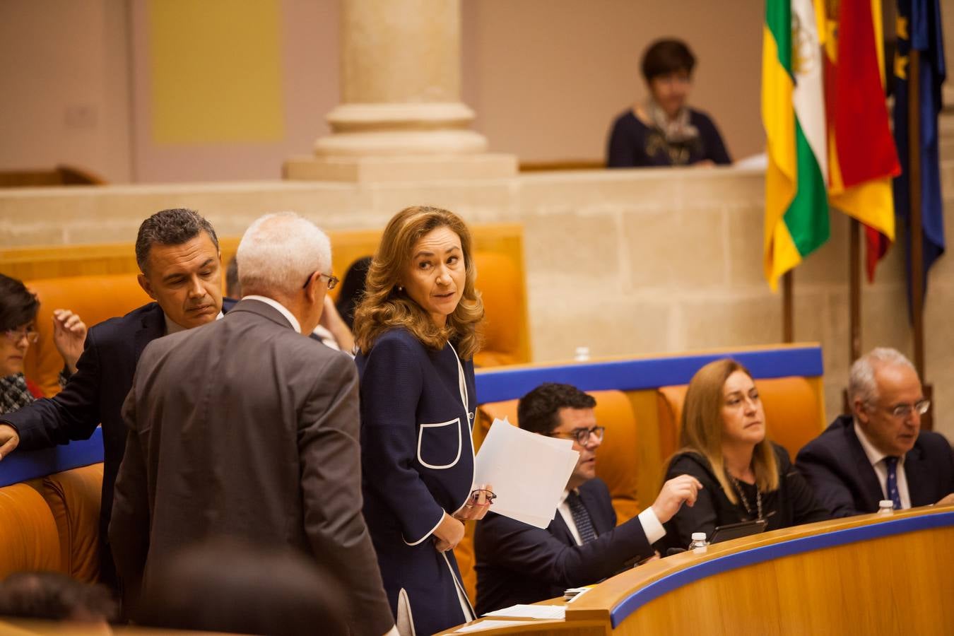 Los gestos del Pleno en el Parlamento riojano