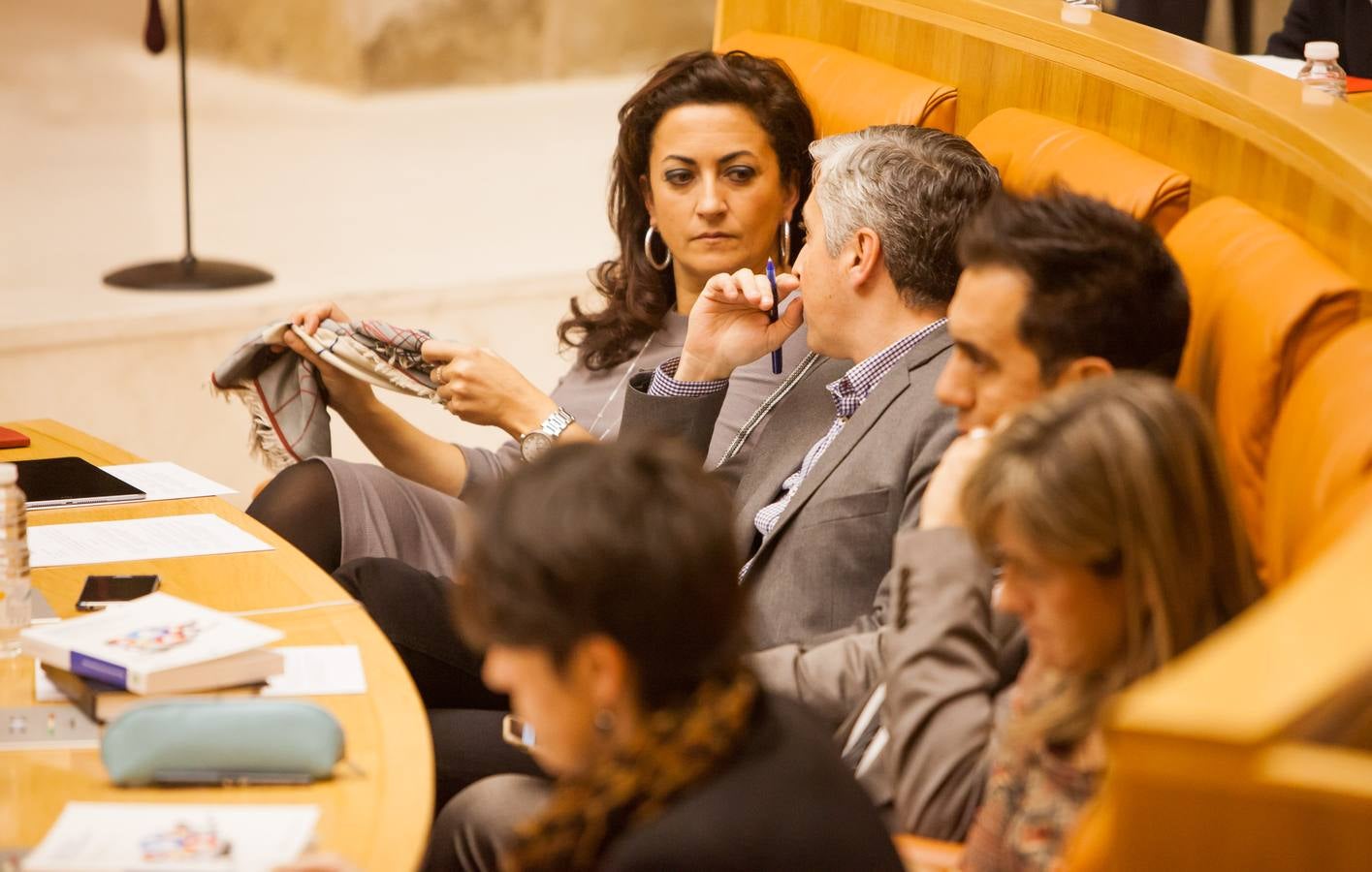 Los gestos del Pleno en el Parlamento riojano