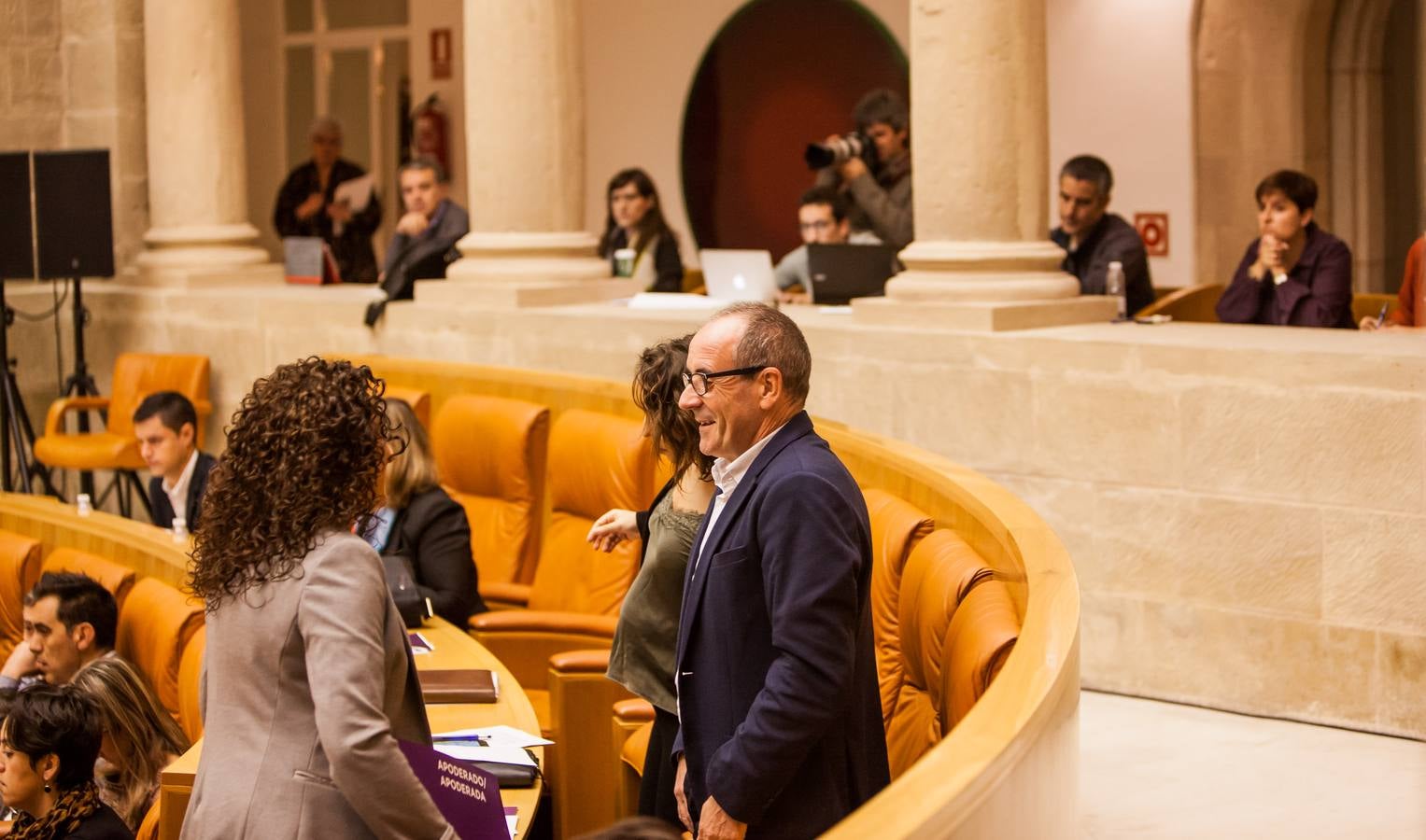 Los gestos del Pleno en el Parlamento riojano