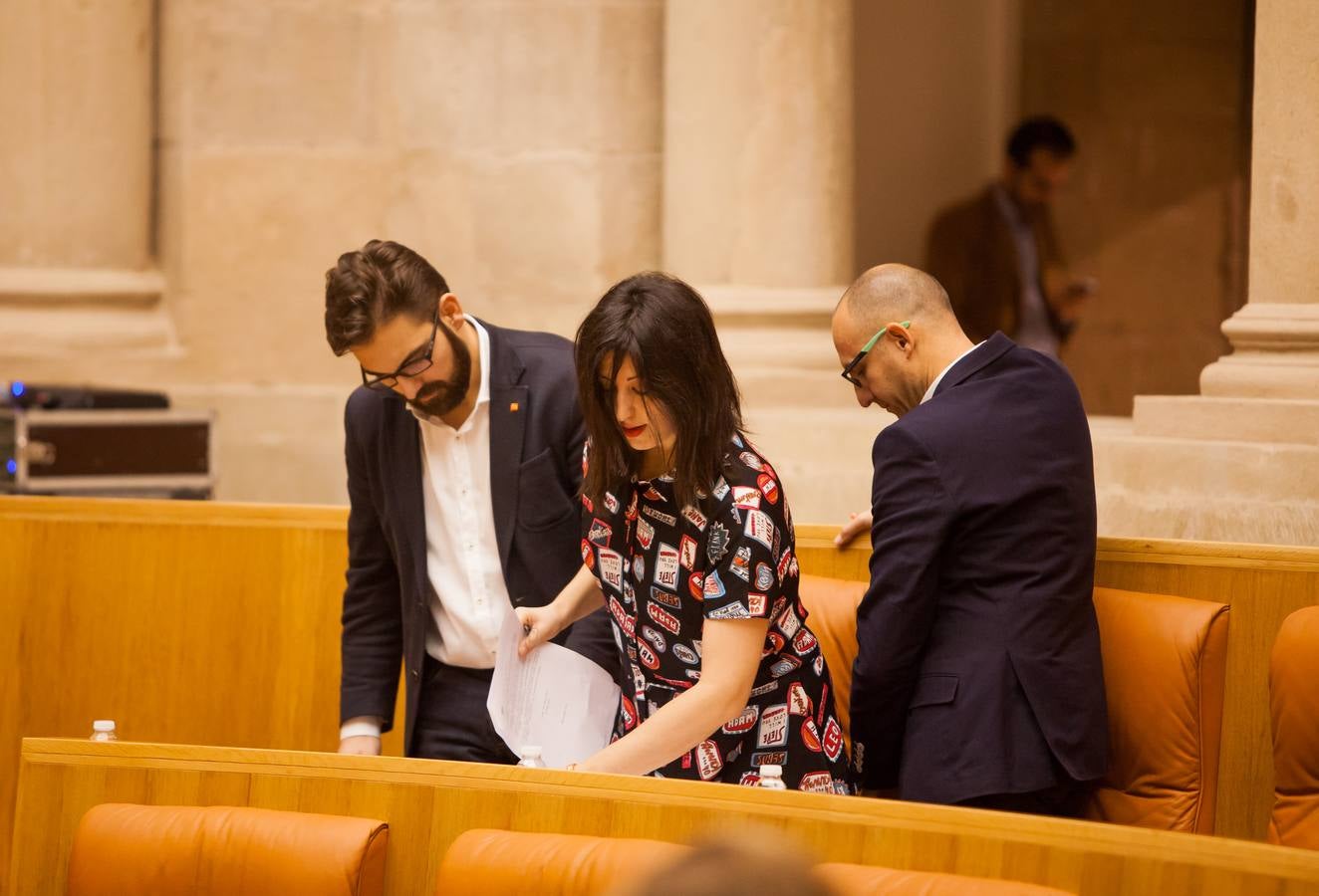 Los gestos del Pleno en el Parlamento riojano