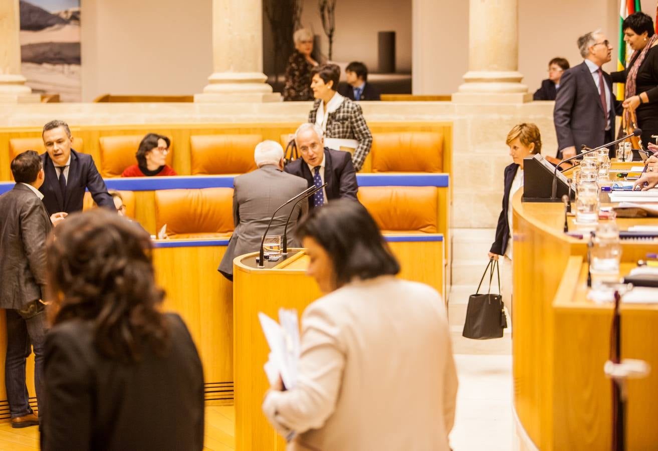 Los gestos del Pleno en el Parlamento riojano