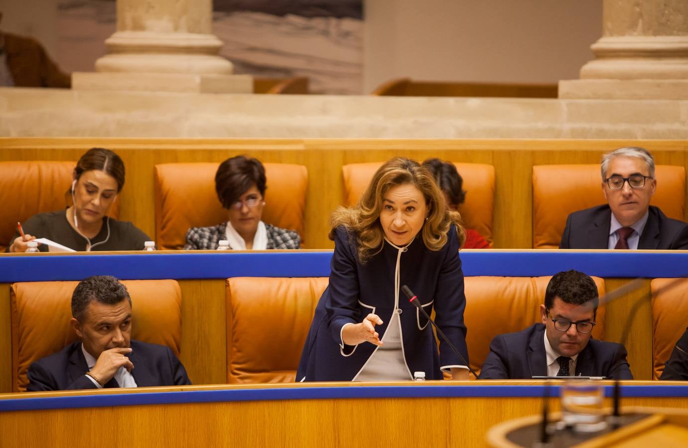 Los gestos del Pleno en el Parlamento riojano