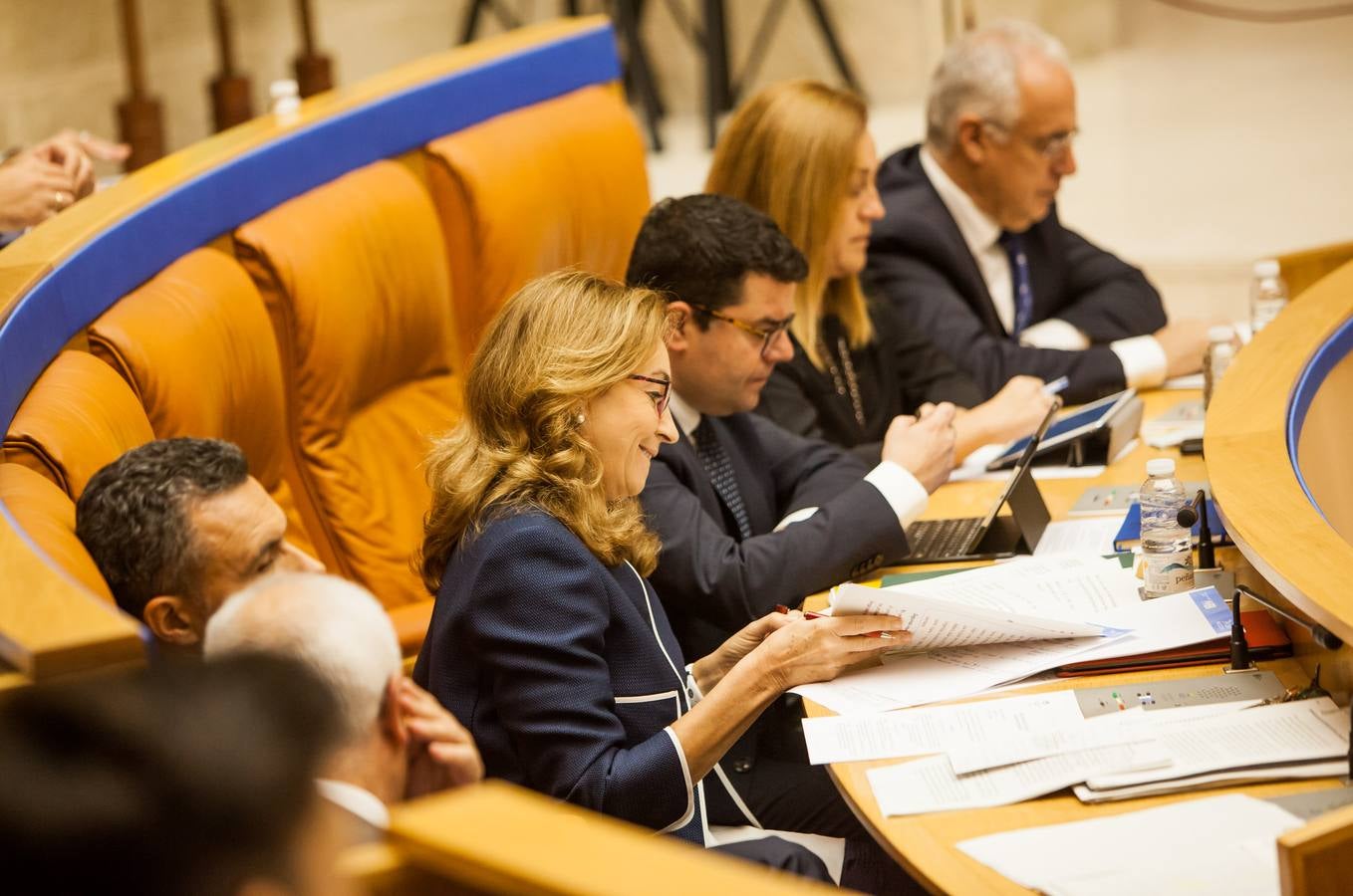 Los gestos del Pleno en el Parlamento riojano