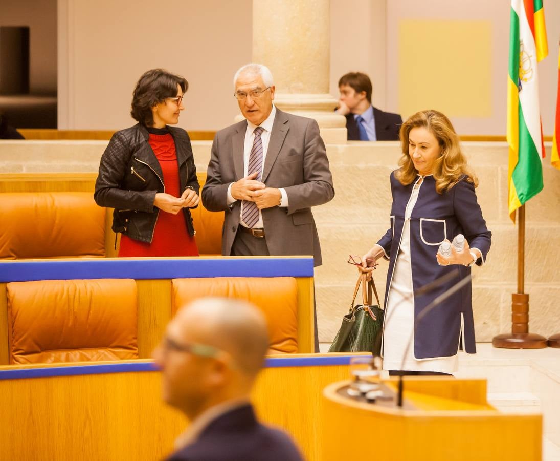 Los gestos del Pleno en el Parlamento riojano