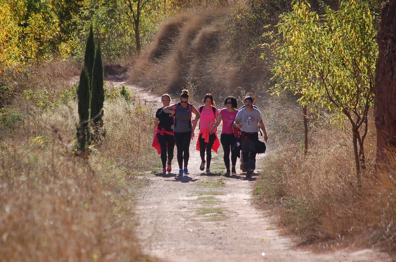 2ª marcha por el Camino Real de San Millán a Nájera