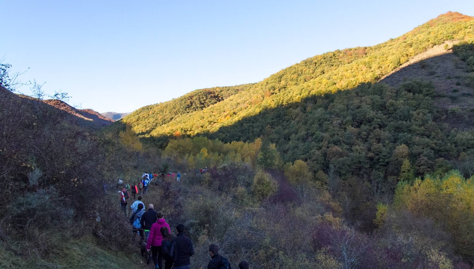 El otoño cambia el paisaje riojano