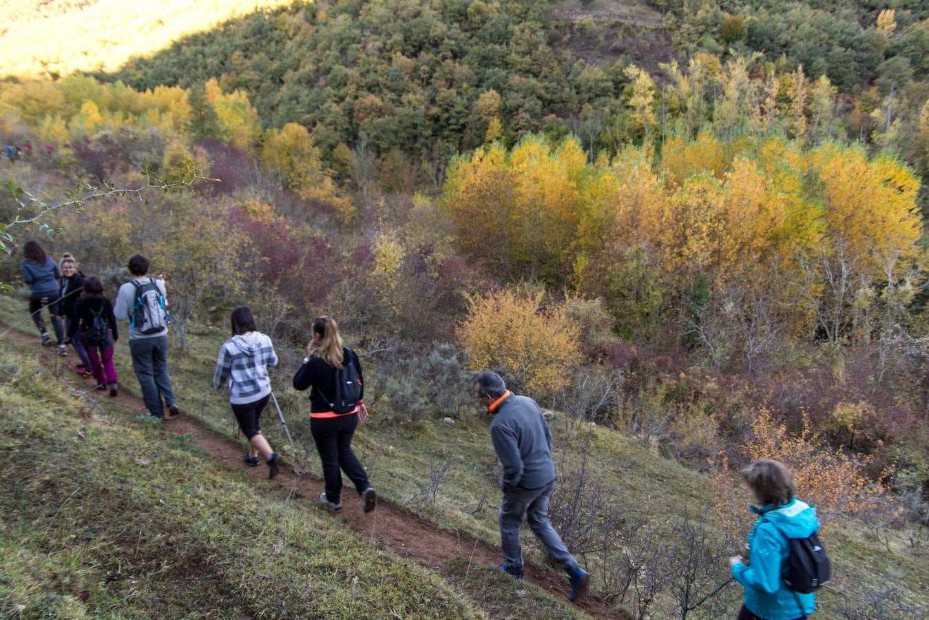 El otoño cambia el paisaje riojano