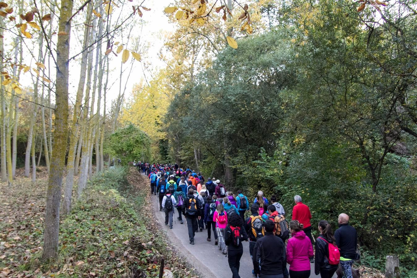 El otoño cambia el paisaje riojano