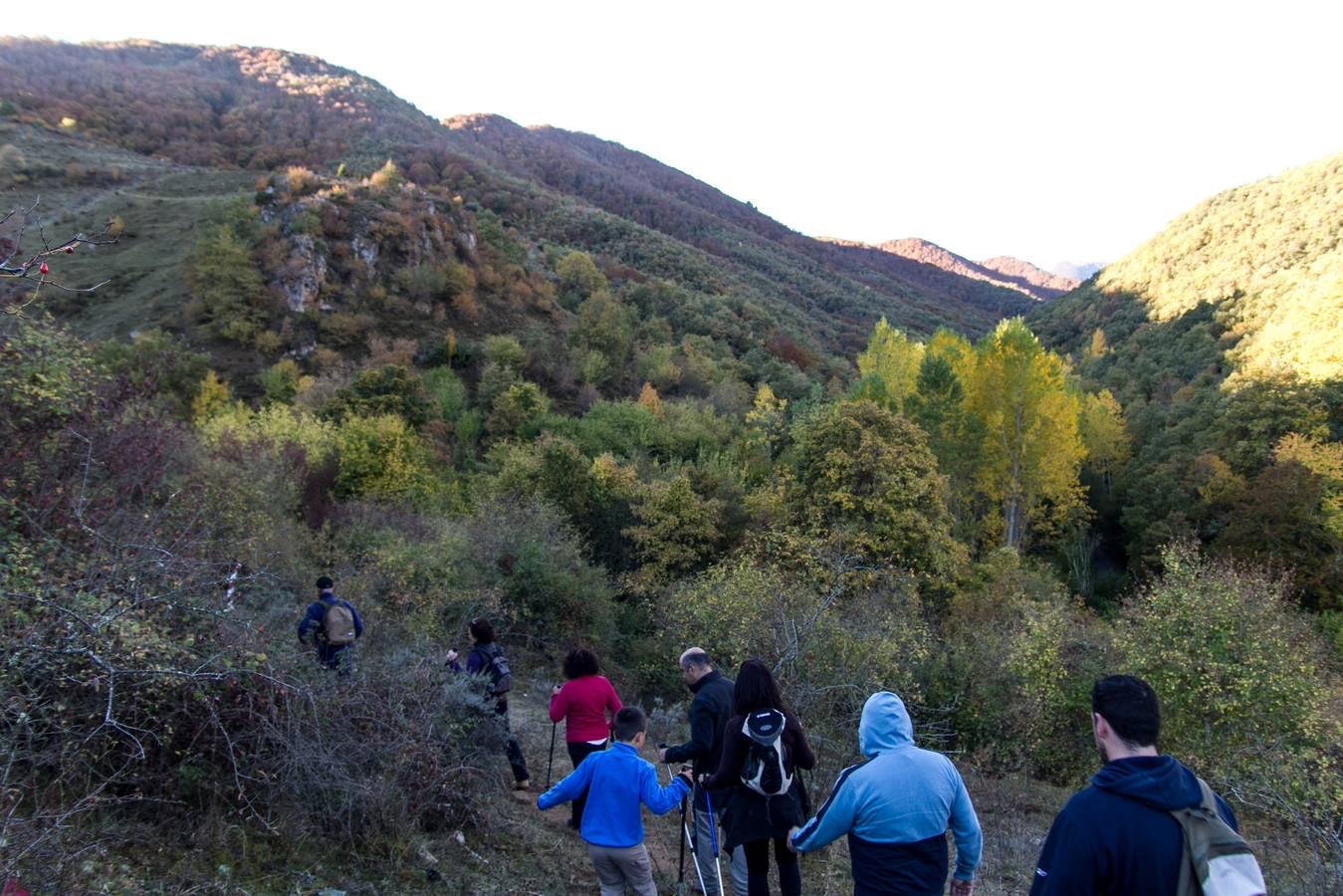 El otoño cambia el paisaje riojano