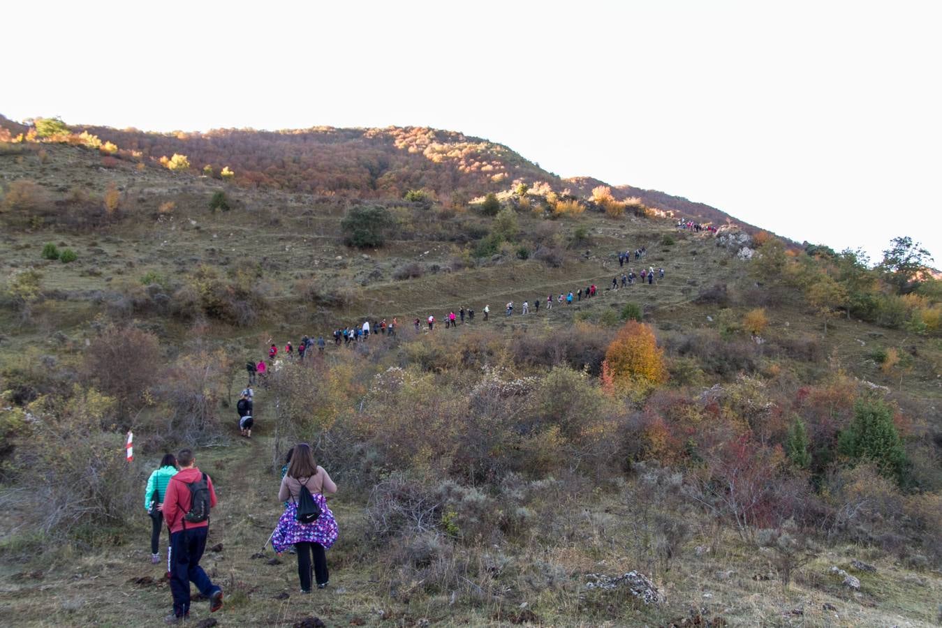 El otoño cambia el paisaje riojano