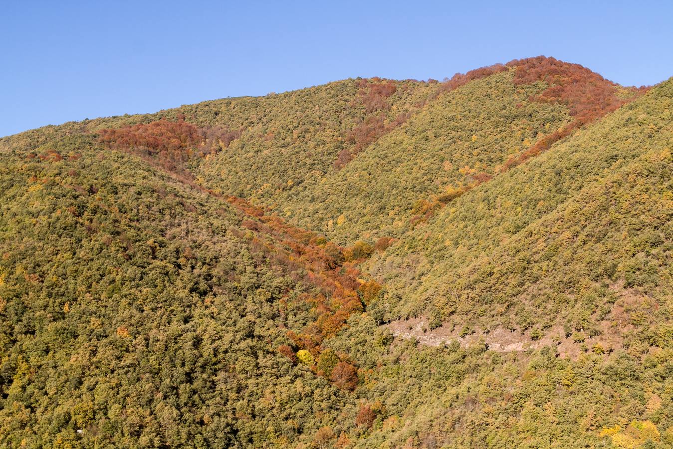 El otoño cambia el paisaje riojano