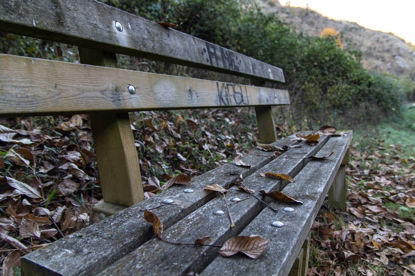 El otoño cambia el paisaje riojano