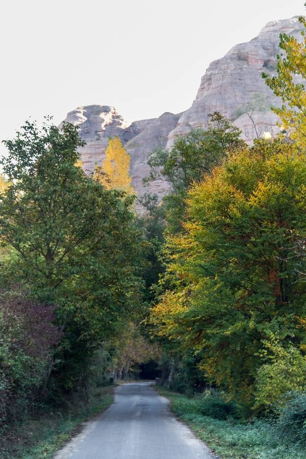 El otoño cambia el paisaje riojano