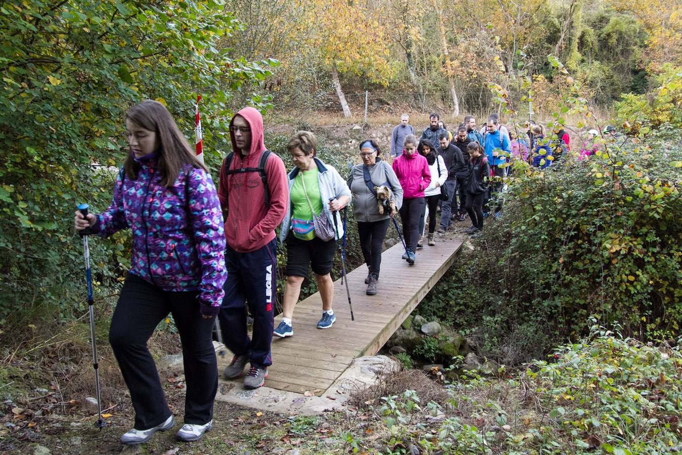 El otoño cambia el paisaje riojano