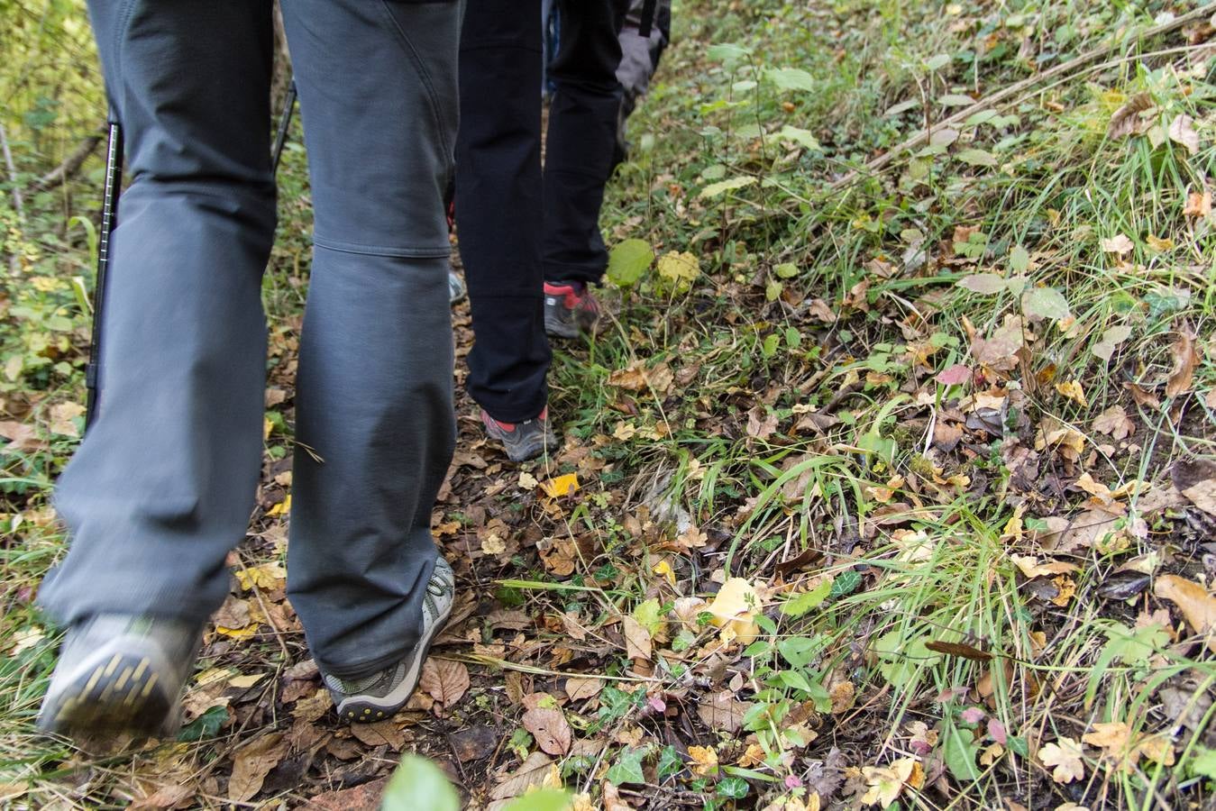 El otoño cambia el paisaje riojano