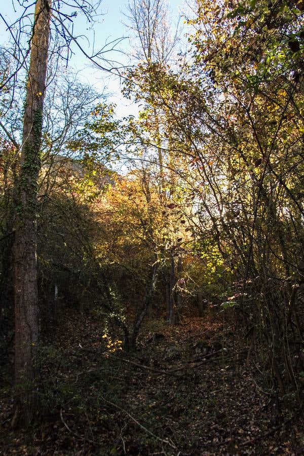 El otoño cambia el paisaje riojano