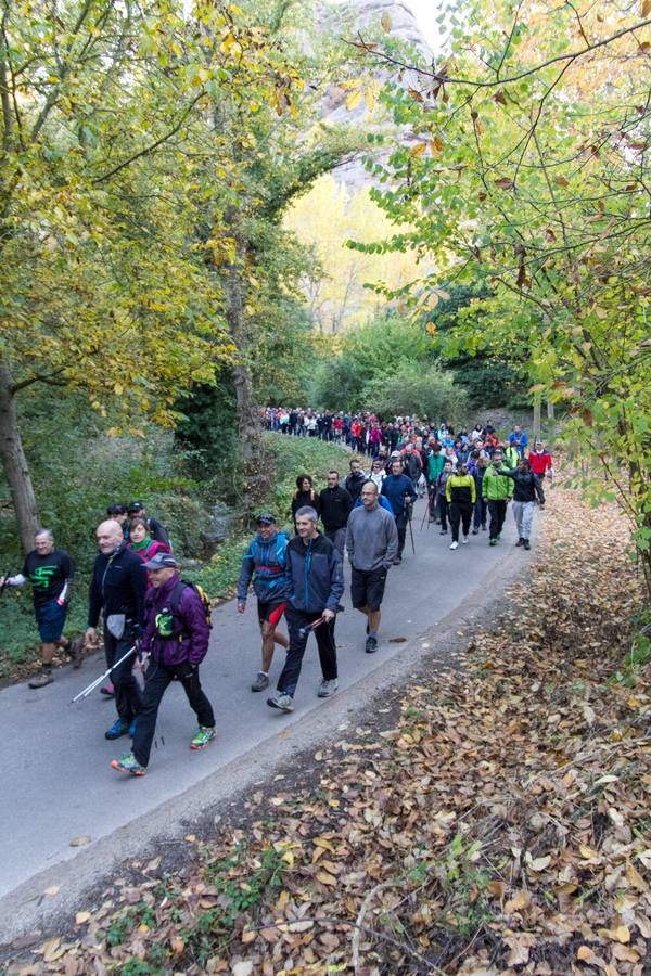 El otoño cambia el paisaje riojano