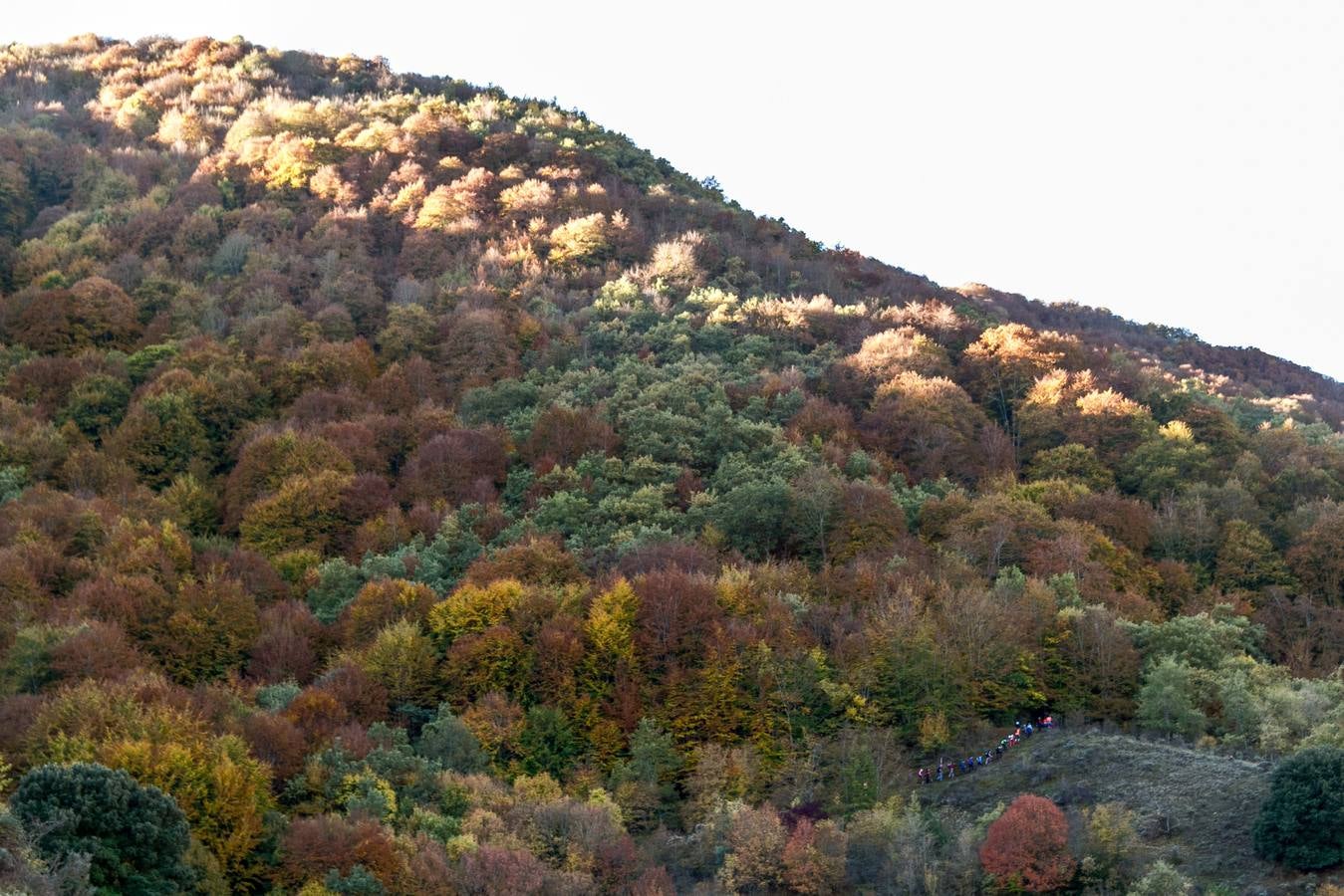 El otoño cambia el paisaje riojano