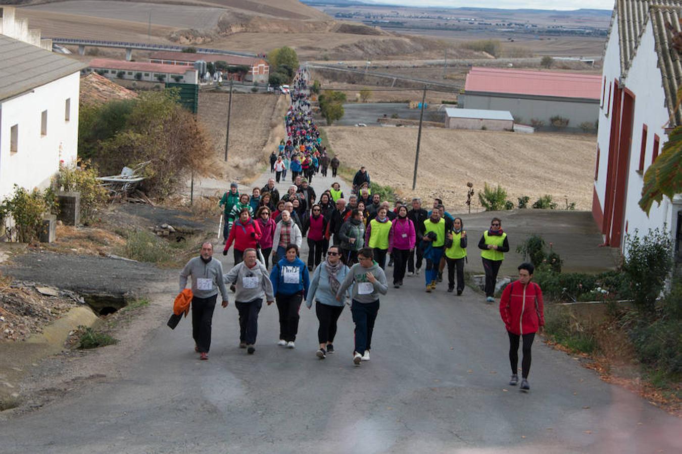 Paseo contra el cáncer