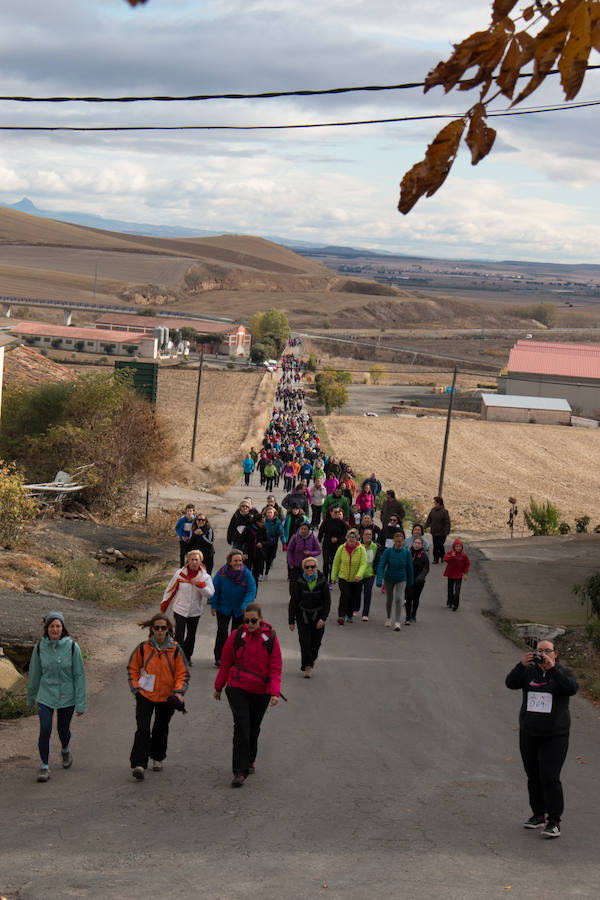 Paseo contra el cáncer