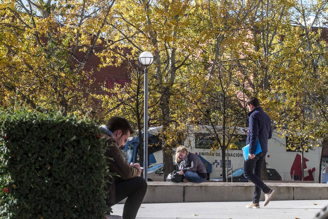 El otoño en Logroño