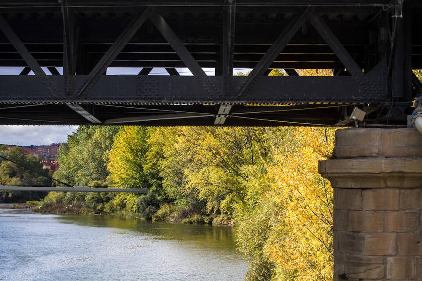 El otoño en Logroño