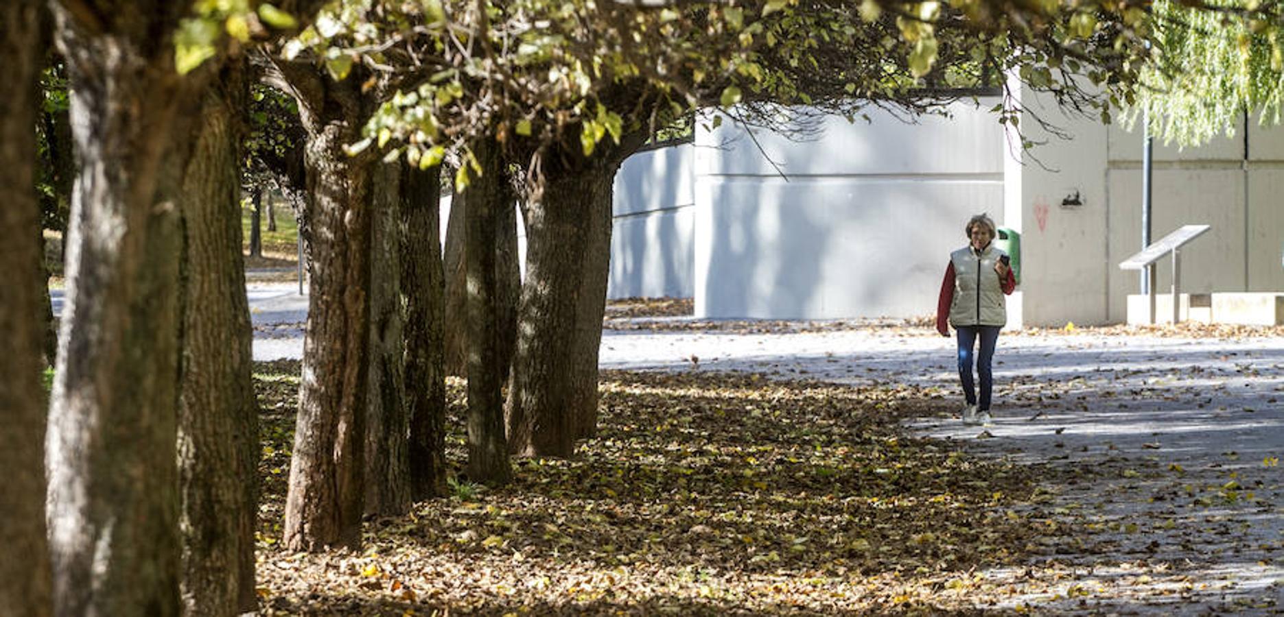 El otoño en Logroño