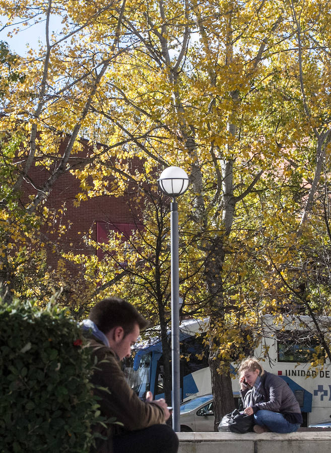 El otoño en Logroño